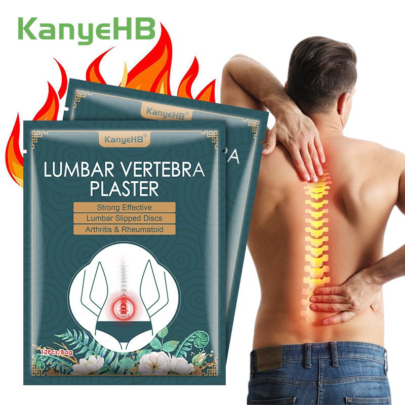 12/48PCS Waist Hot Compress Di - Skincare Herbal review and price